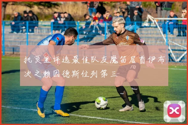 托莫里评选最佳队友魔笛居首伊布次之赖因德斯位列第三